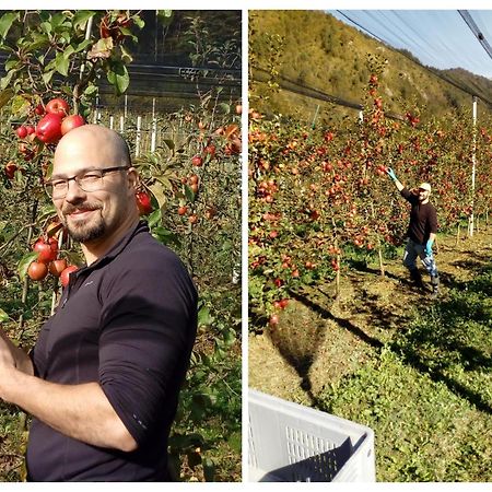 Agriturismo Pian Dei Tass 바르치스 외부 사진