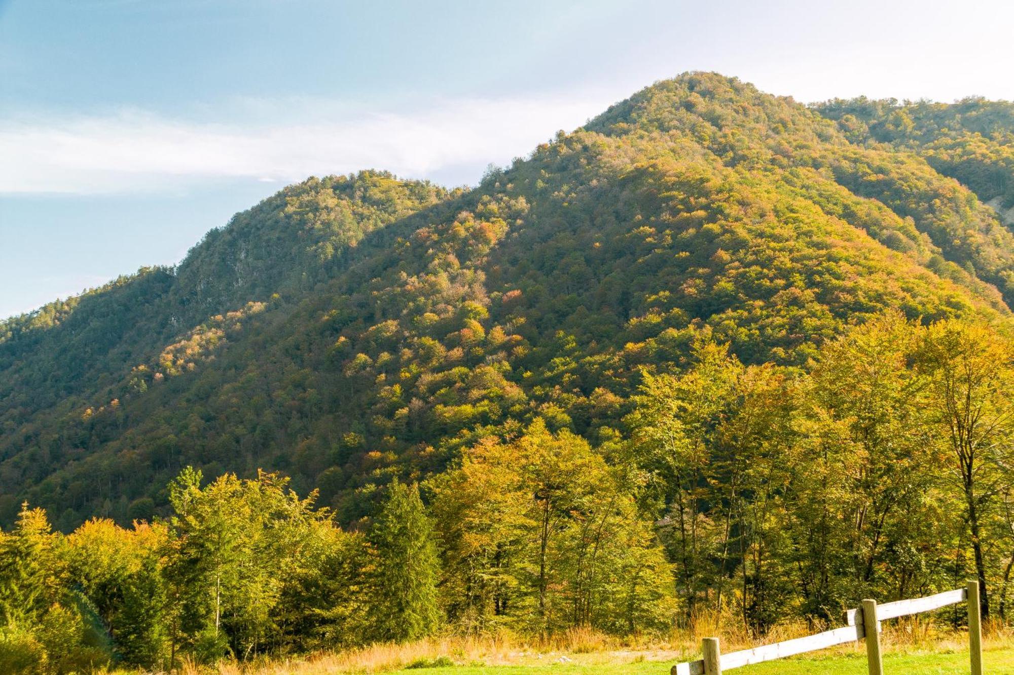 Agriturismo Pian Dei Tass 바르치스 외부 사진
