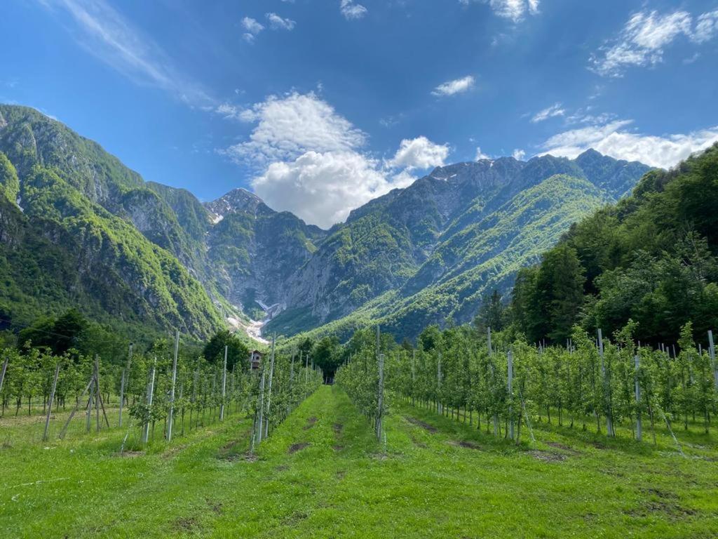 Agriturismo Pian Dei Tass 바르치스 외부 사진