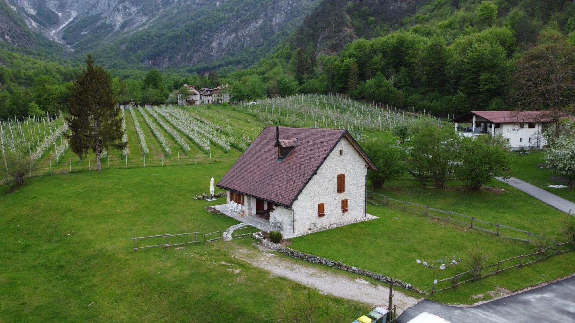 Agriturismo Pian Dei Tass 바르치스 외부 사진