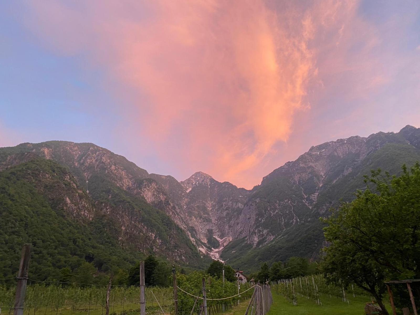 Agriturismo Pian Dei Tass 바르치스 외부 사진