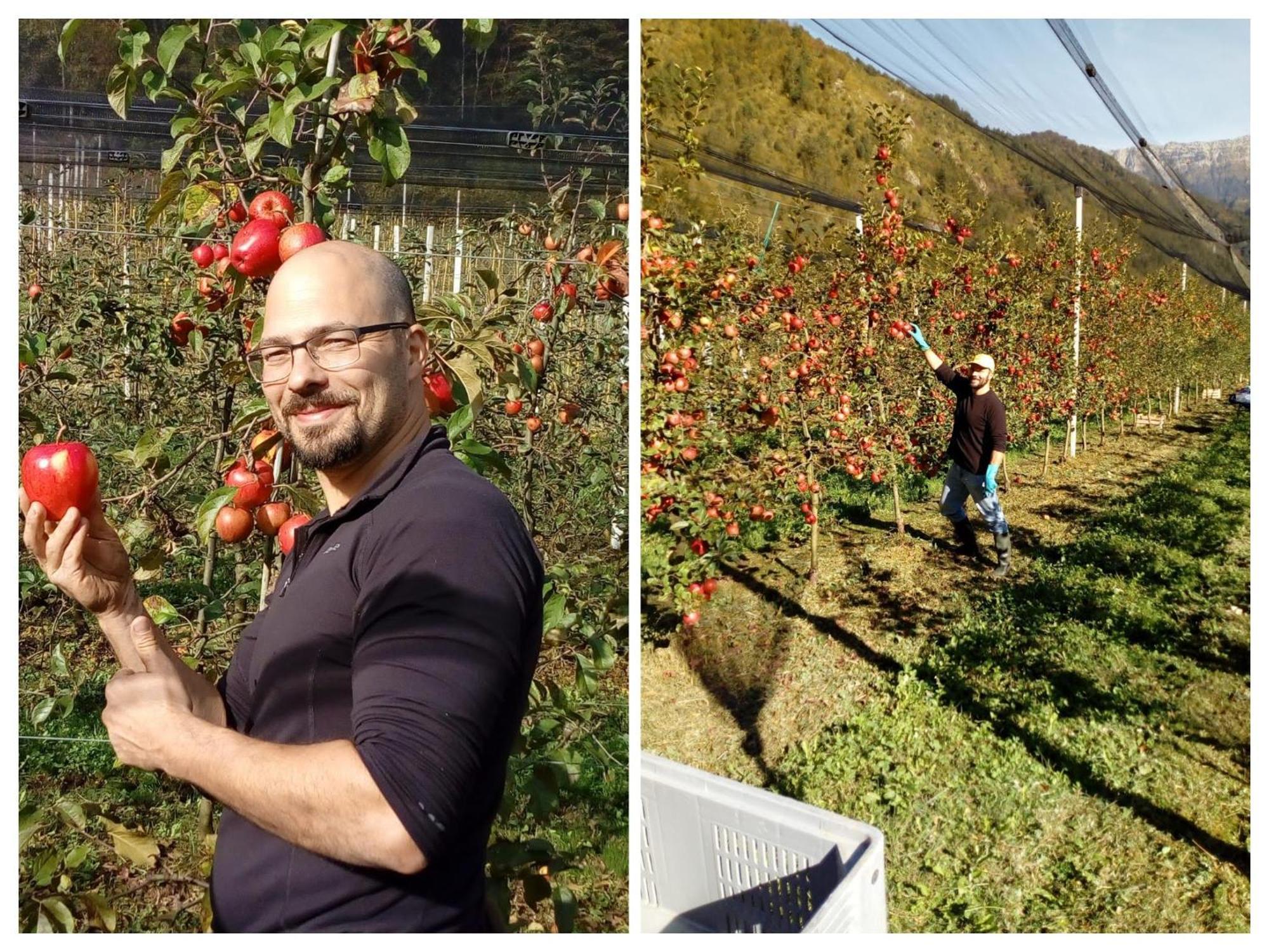 Agriturismo Pian Dei Tass 바르치스 외부 사진