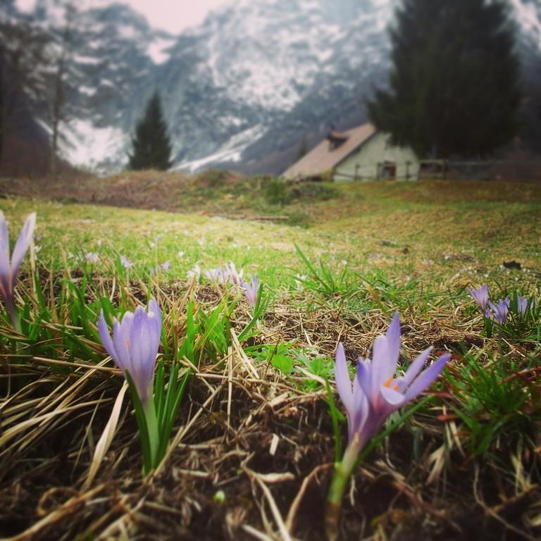 Agriturismo Pian Dei Tass 바르치스 외부 사진