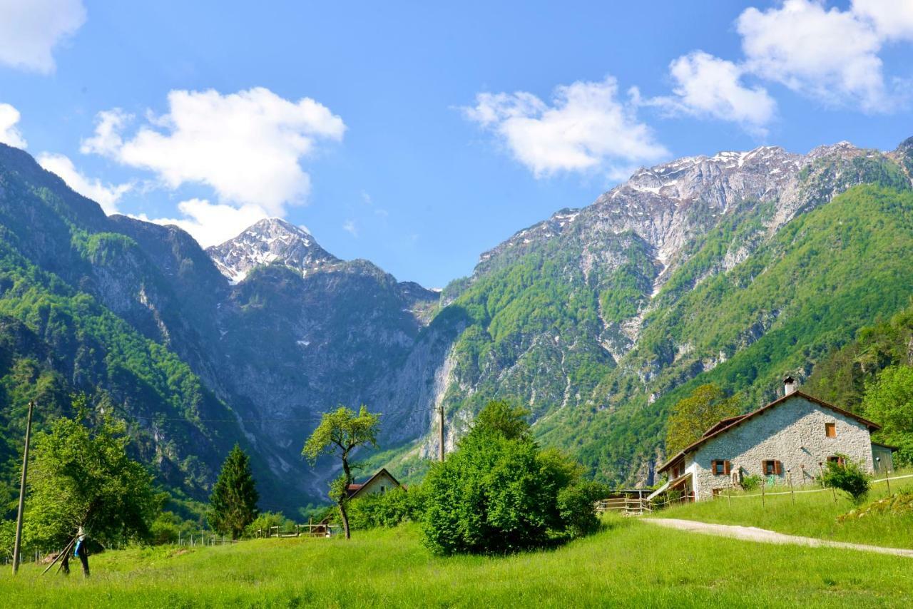 Agriturismo Pian Dei Tass 바르치스 외부 사진