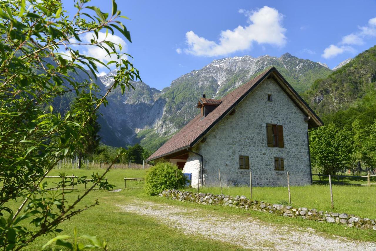 Agriturismo Pian Dei Tass 바르치스 외부 사진
